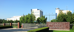 關(guān)于瓊花